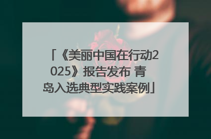《美丽中国在行动2025》报告发布 青岛入选典型实践案例