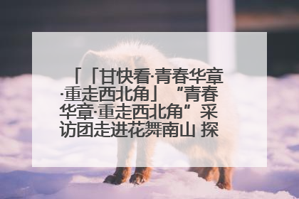 「甘快看·青春华章·重走西北角」“青春华章·重走西北角”采访团走进花舞南山 探寻天水乡村振兴之路