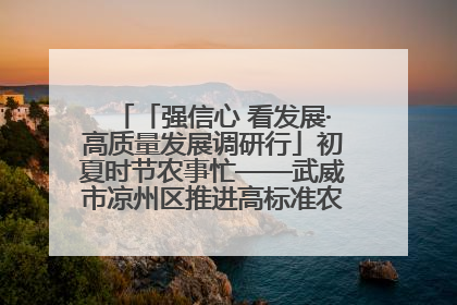 「强信心 看发展·高质量发展调研行」初夏时节农事忙——武威市凉州区推进高标准农田建设见闻