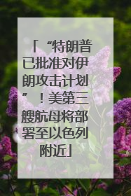 “特朗普已批准对伊朗攻击计划”！美第三艘航母将部署至以色列附近
