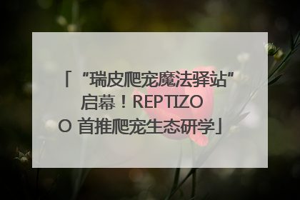 “瑞皮爬宠魔法驿站” 启幕！REPTIZOO 首推爬宠生态研学