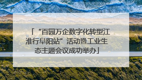 “百园万企数字化转型江淮行阜阳站”活动暨工业生态主题会议成功举办