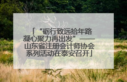 “砺行致远拾年路 凝心聚力再出发”——山东省注册会计师协会系列活动在泰安召开