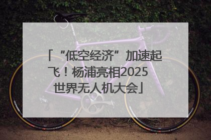“低空经济”加速起飞！杨浦亮相2025世界无人机大会