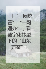“一网统管”“一网通办”，看数字化转型下的“山东方案”