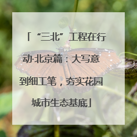 “三北”工程在行动·北京篇：大写意到细工笔，夯实花园城市生态基底