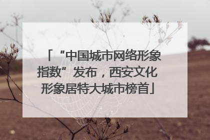 “中国城市网络形象指数”发布，西安文化形象居特大城市榜首