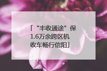 “丰收通途”保1.6万余跨区机收车畅行信阳