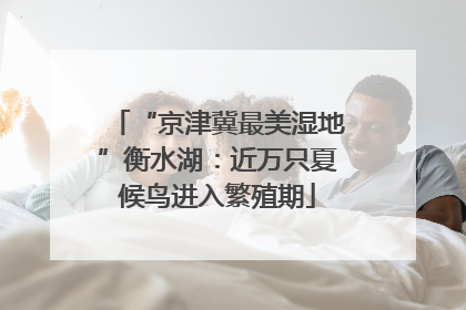“京津冀最美湿地”衡水湖：近万只夏候鸟进入繁殖期