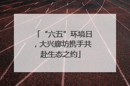 “六五”环境日，大兴廊坊携手共赴生态之约