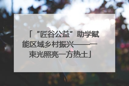 “匠谷公益”助学赋能区域乡村振兴——一束光照亮一方热土