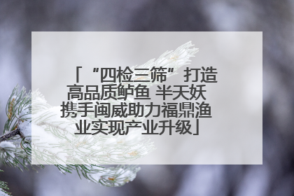 “四检三筛”打造高品质鲈鱼 半天妖携手闽威助力福鼎渔业实现产业升级
