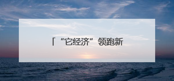 “它经济”领跑新消费！长宁打造宠物经济消费新场景！