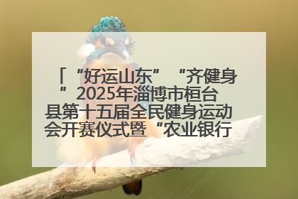 “好运山东”“齐健身”2025年淄博市桓台县第十五届全民健身运动会开赛仪式暨“农业银行杯”第一届社区工作队伍运动会开赛