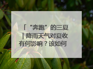 “奔跑”的三夏｜降雨天气对夏收有何影响？该如何防范？一文了解