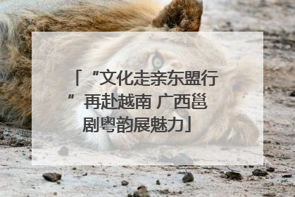 “文化走亲东盟行”再赴越南 广西邕剧粤韵展魅力