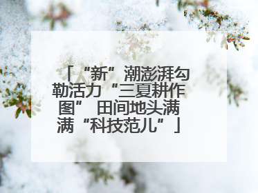 “新”潮澎湃勾勒活力“三夏耕作图” 田间地头满满“科技范儿”
