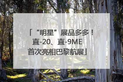 “明星”展品多多！直-20、直-9ME首次亮相巴黎航展