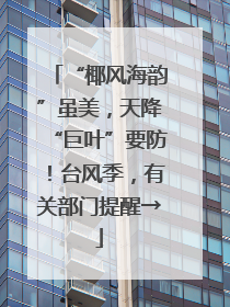 “椰风海韵”虽美，天降“巨叶”要防！台风季，有关部门提醒→