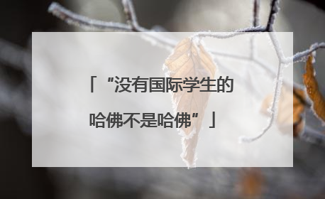 “没有国际学生的哈佛不是哈佛”