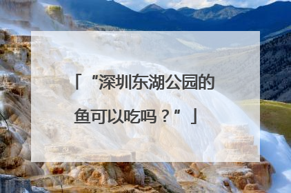 “深圳东湖公园的鱼可以吃吗？”