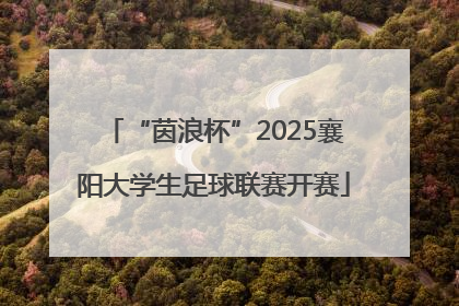 “茵浪杯”2025襄阳大学生足球联赛开赛