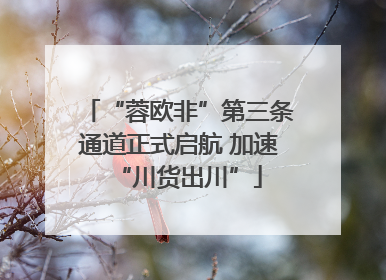 “蓉欧非”第三条通道正式启航 加速“川货出川”