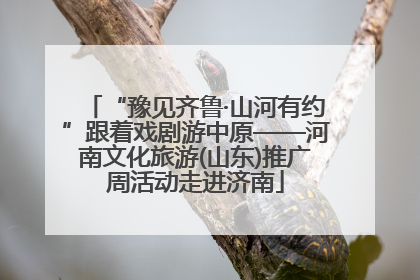 “豫见齐鲁·山河有约”跟着戏剧游中原——河南文化旅游(山东)推广周活动走进济南