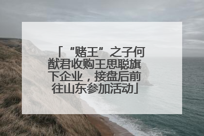 “赌王”之子何猷君收购王思聪旗下企业，接盘后前往山东参加活动