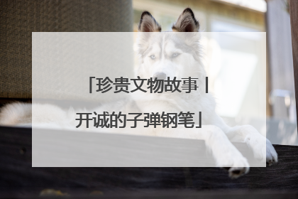 珍贵文物故事丨开诚的子弹钢笔