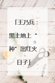 王乃兵：黑土地上“种”出红火日子