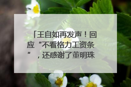 王自如再发声！回应“不看格力工资条”，还感谢了董明珠和雷军｜热财经
