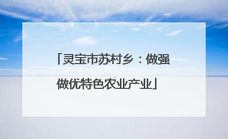 灵宝市苏村乡：做强做优特色农业产业