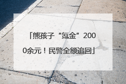 熊孩子“氪金”2000余元！民警全额追回