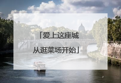 爱上这座城 从逛菜场开始