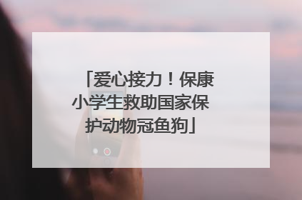 爱心接力！保康小学生救助国家保护动物冠鱼狗