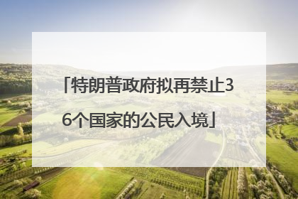 特朗普政府拟再禁止36个国家的公民入境