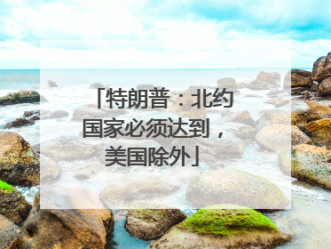 特朗普：北约国家必须达到，美国除外