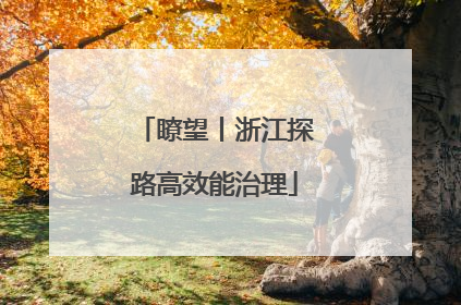 瞭望丨浙江探路高效能治理