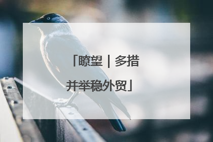 瞭望｜多措并举稳外贸