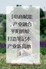 电商赋能，产业融合 平阳腾蛟打造笔记本产业新高地