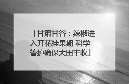 甘肃甘谷：辣椒进入开花挂果期 科学管护确保大田丰收