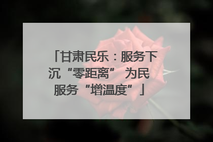 甘肃民乐：服务下沉“零距离” 为民服务“增温度”