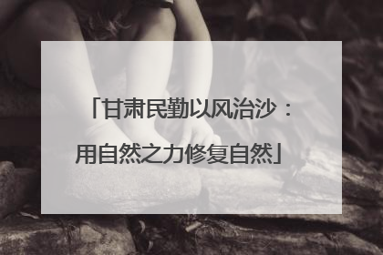 甘肃民勤以风治沙：用自然之力修复自然