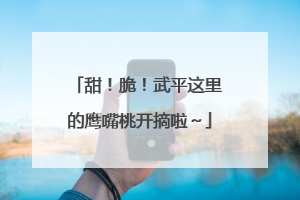 甜！脆！武平这里的鹰嘴桃开摘啦～