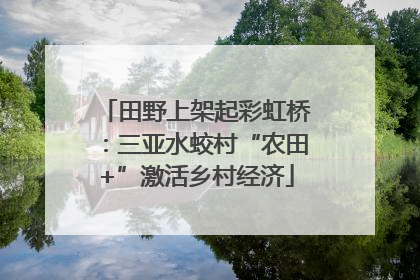 田野上架起彩虹桥：三亚水蛟村“农田+”激活乡村经济