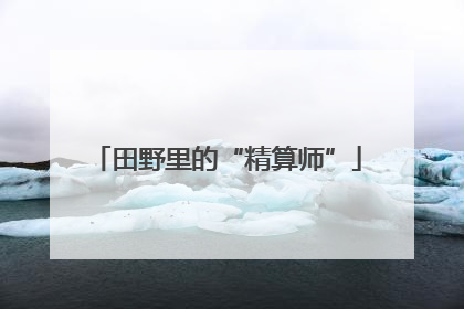 田野里的“精算师”