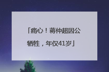 痛心！蒋仲超因公牺牲，年仅41岁
