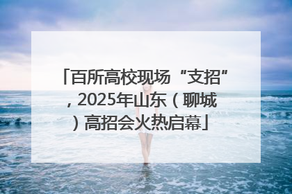 百所高校现场“支招”，2025年山东（聊城）高招会火热启幕