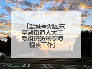 盐城亭湖区东亭湖街道人大工委组织防汛专项视察工作
